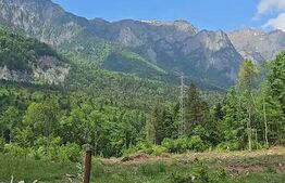 Teren intravilan, 1000 mp, proiect duplex P+E, zona Sinaia - Zamora