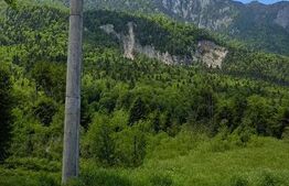 Teren intravilan, 1000 mp, proiect duplex P+E, zona Sinaia - Zamora