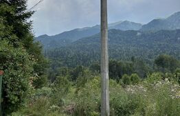 Teren intravilan, 1000 mp, proiect duplex P+E, zona Sinaia - Zamora