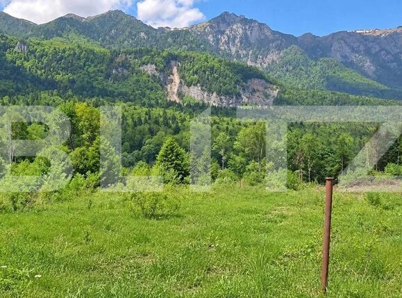 Teren de vânzare Sinaia - 202580TV | BLITZ Ploieşti | Poza1