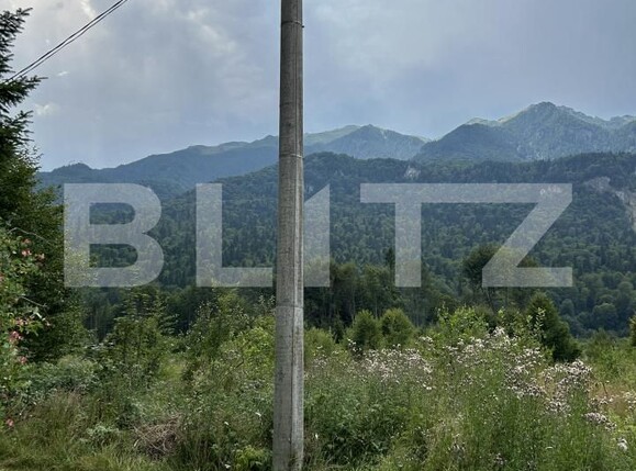Teren de vânzare Sinaia - 202580TV | BLITZ Ploieşti | Poza17