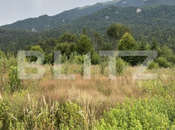Teren de vânzare Sinaia - 202580TV | BLITZ Ploieşti | Poza16