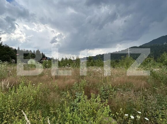 Teren de vânzare Sinaia - 202580TV | BLITZ Ploieşti | Poza22