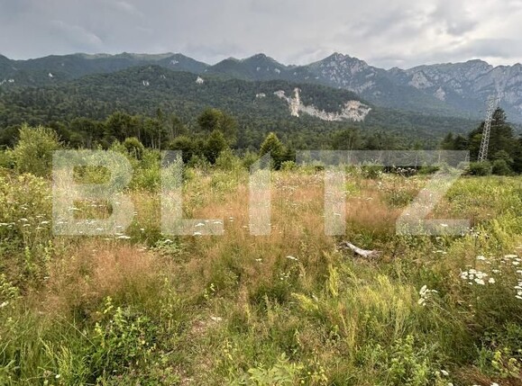Teren de vânzare Sinaia - 202580TV | BLITZ Ploieşti | Poza3