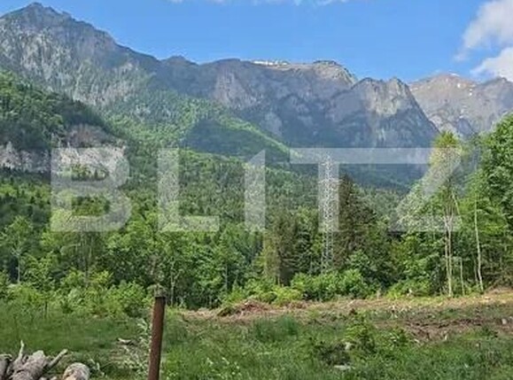 Teren de vânzare Sinaia - 202580TV | BLITZ Ploieşti | Poza2
