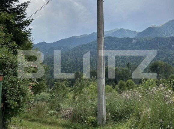 Teren de vânzare Sinaia - 202580TV | BLITZ Ploieşti | Poza25