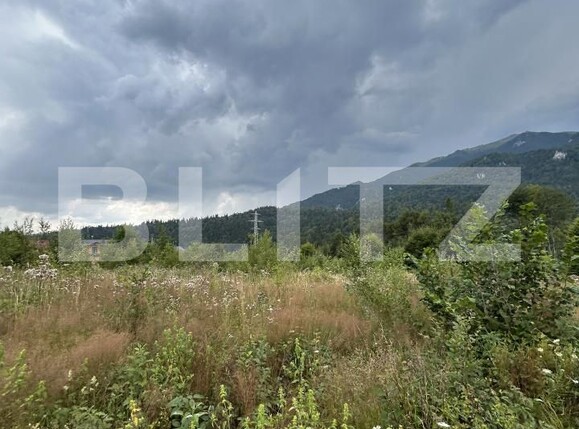 Teren de vânzare Sinaia - 202580TV | BLITZ Ploieşti | Poza23