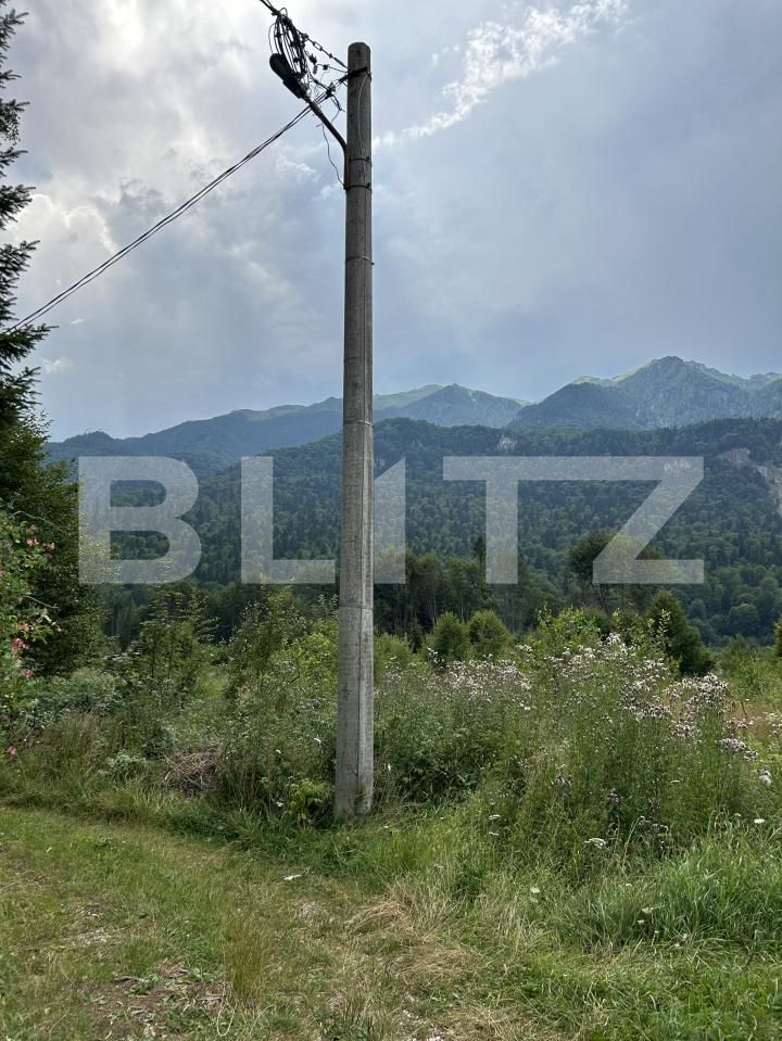 Teren de vânzare Sinaia - 202580TV | BLITZ Ploieşti | Poza17