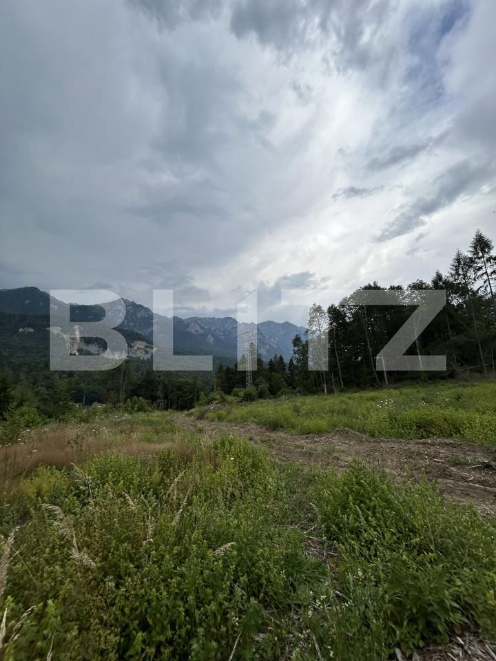Teren de vânzare Sinaia - 202580TV | BLITZ Ploieşti | Poza18