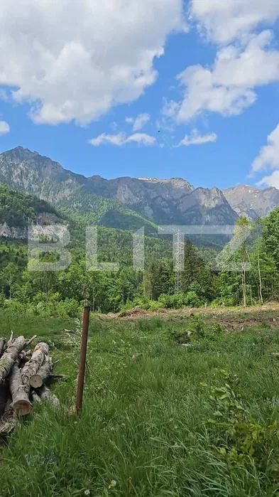 Teren de vânzare Sinaia - 202580TV | BLITZ Ploieşti | Poza2