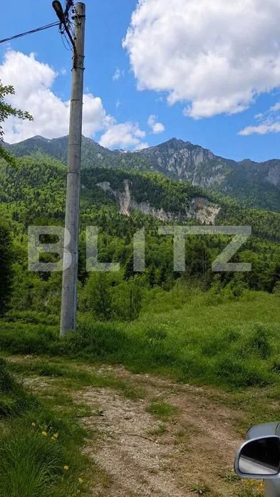 Teren de vânzare Sinaia - 202580TV | BLITZ Ploieşti | Poza14