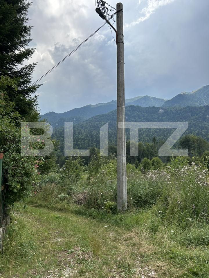 Teren de vânzare Sinaia - 202580TV | BLITZ Ploieşti | Poza25