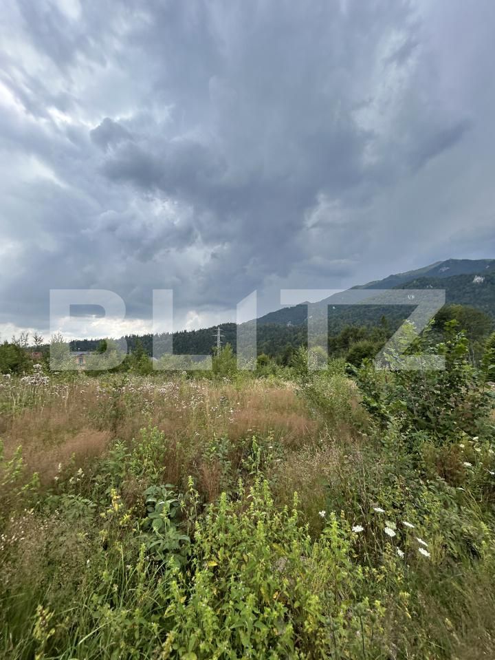 Teren de vânzare Sinaia - 202580TV | BLITZ Ploieşti | Poza23