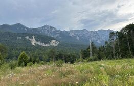 Teren intravilan, 1.724 mp, zona Sinaia