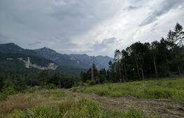 Teren intravilan, 1.724 mp, zona Sinaia
