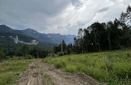 Teren intravilan, 1.724 mp, zona Sinaia