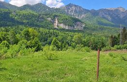 Teren intravilan, 1.724 mp, zona Sinaia
