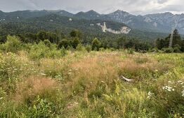 Teren intravilan, 1.724 mp, zona Sinaia