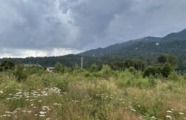 Teren intravilan, 1.724 mp, zona Sinaia