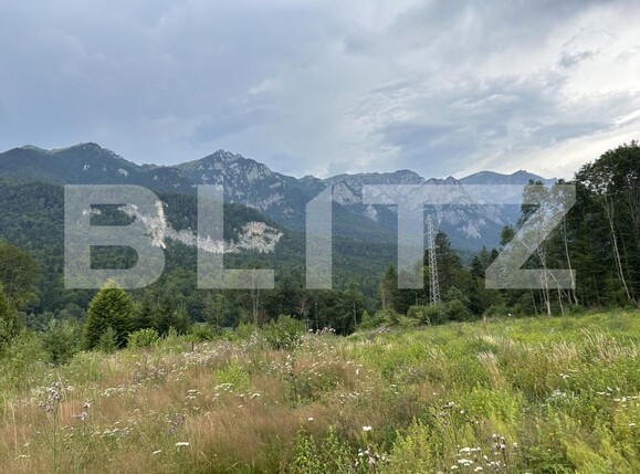 Teren de vânzare Sinaia - 202582TV | BLITZ Ploieşti | Poza10