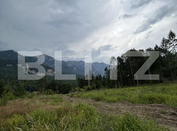 Teren de vânzare Sinaia - 202582TV | BLITZ Ploieşti | Poza11