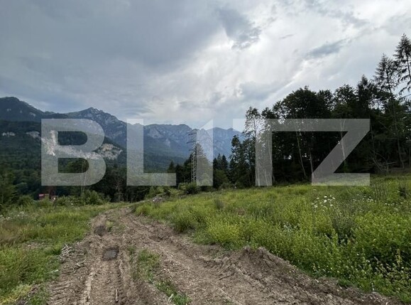 Teren de vânzare Sinaia - 202582TV | BLITZ Ploieşti | Poza12