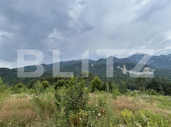 Teren de vânzare Sinaia - 202582TV | BLITZ Ploieşti | Poza14