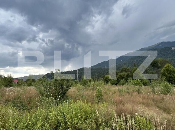 Teren de vânzare Sinaia - 202582TV | BLITZ Ploieşti | Poza16