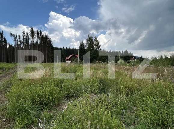 Teren de vânzare Sinaia - 202582TV | BLITZ Ploieşti | Poza6