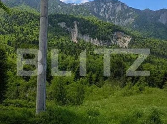 Teren de vânzare Sinaia - 202582TV | BLITZ Ploieşti | Poza7