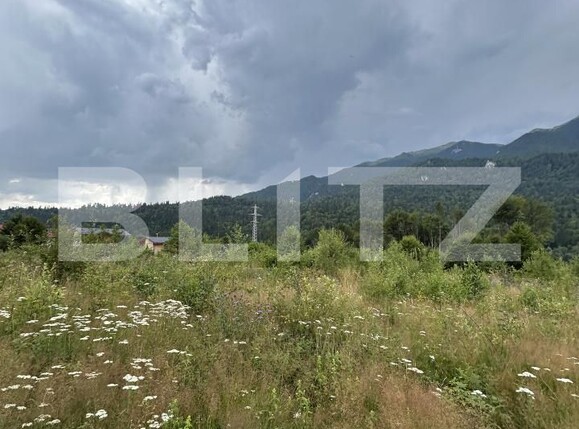 Teren de vânzare Sinaia - 202582TV | BLITZ Ploieşti | Poza15