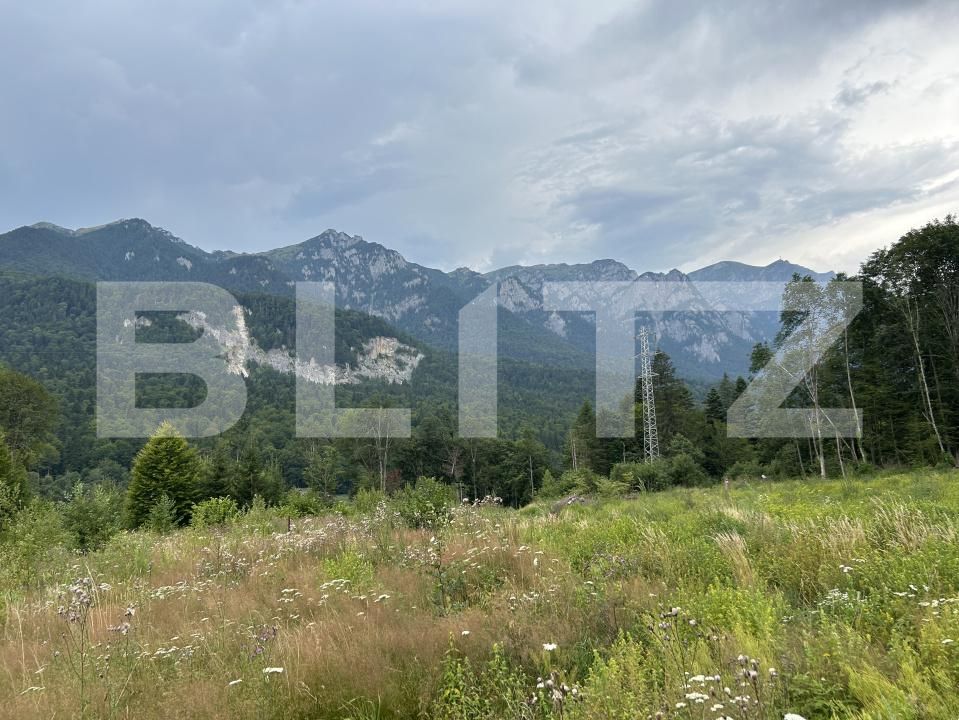 Teren de vânzare Sinaia - 202582TV | BLITZ Ploieşti | Poza10