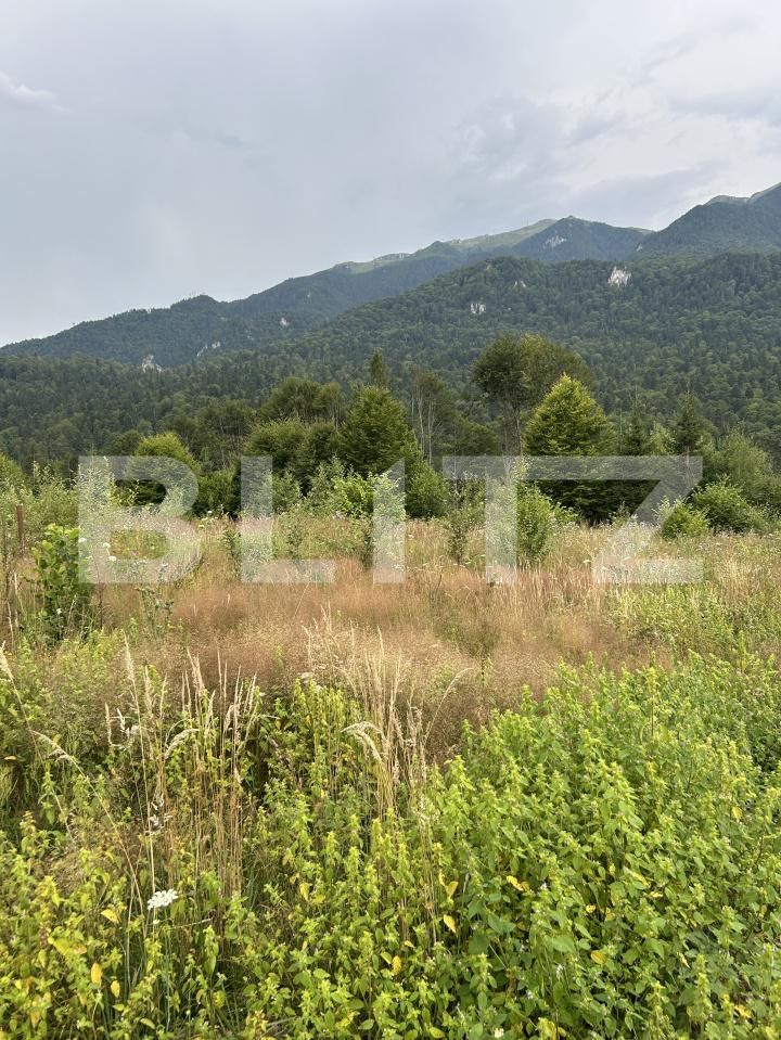 Teren de vânzare Sinaia - 202582TV | BLITZ Ploieşti | Poza19