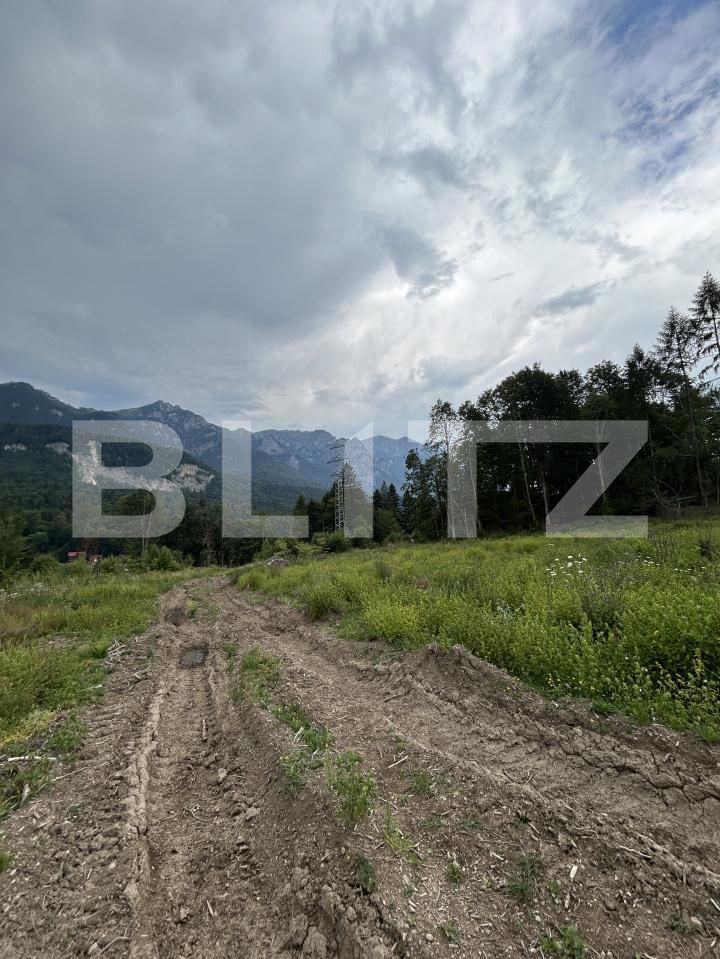 Teren de vânzare Sinaia - 202582TV | BLITZ Ploieşti | Poza12