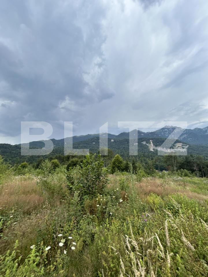 Teren de vânzare Sinaia - 202582TV | BLITZ Ploieşti | Poza14