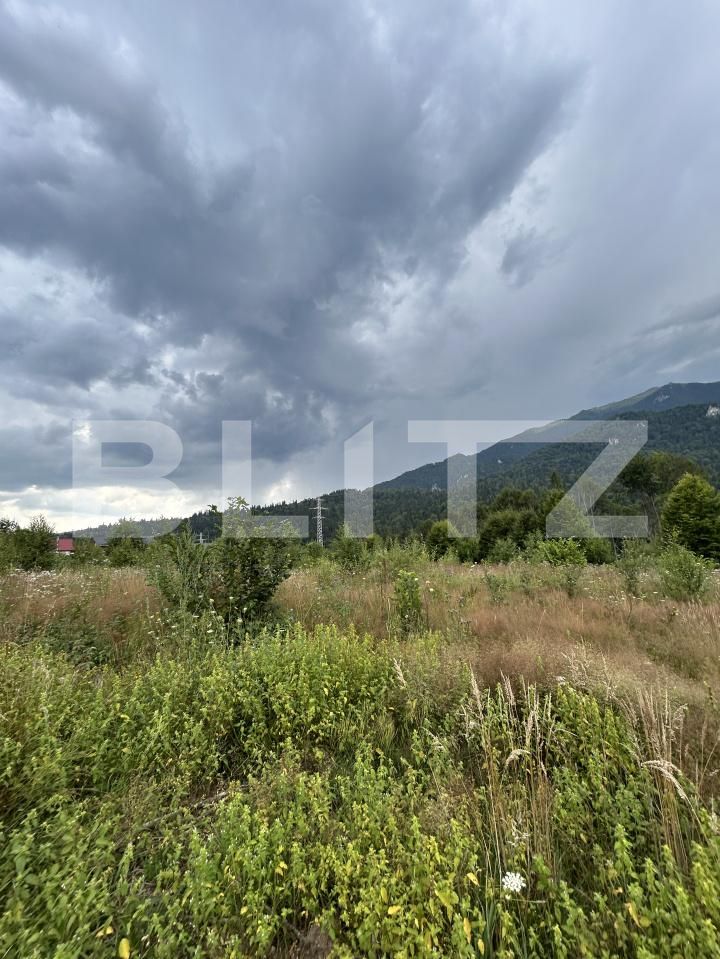 Teren de vânzare Sinaia - 202582TV | BLITZ Ploieşti | Poza16
