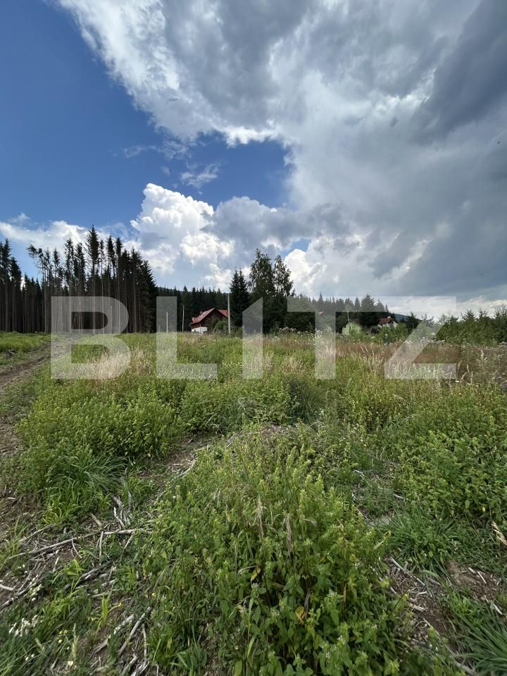 Teren de vânzare Sinaia - 202582TV | BLITZ Ploieşti | Poza6
