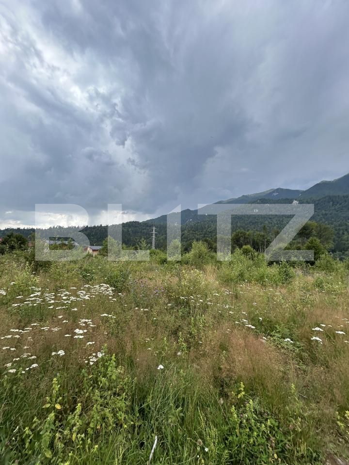 Teren de vânzare Sinaia - 202582TV | BLITZ Ploieşti | Poza15