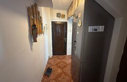 Apartament 2 camere- zona Malu Rosu