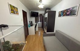 Apartament 2 camere- zona Malu Rosu