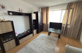 Apartament 2 camere- zona Malu Rosu
