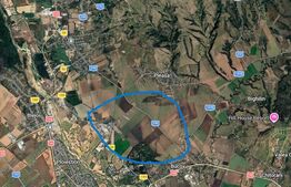 HALĂ INDUSTRIALĂ – LOCATIE PREMIUM | Bucov Acces direct din DJ