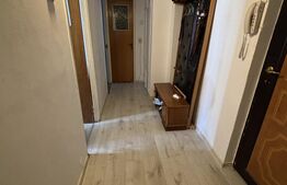 Apartament 2 camere, 50 mp, zona Republicii