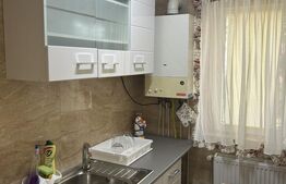 Apartament 2 camere, 40 mp, zona Cezar Petrescu