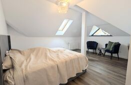 Casa cu 6 camere, 225 mp, zona Central 