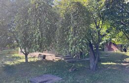 Teren de vanzare, 2987 mp, comuna Cornu