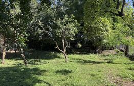 Teren de vanzare, 2987 mp, comuna Cornu