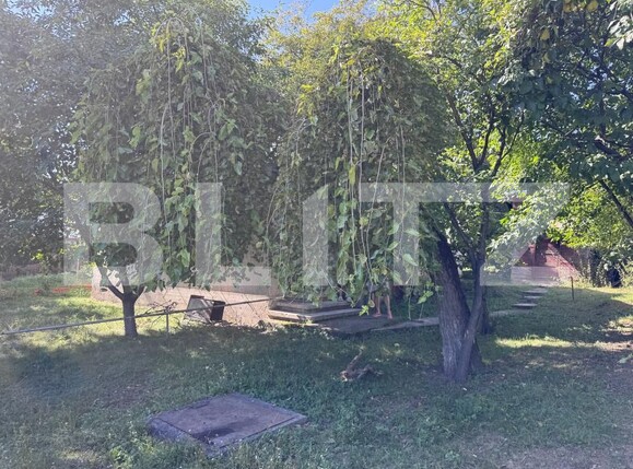 Teren de vânzare Cornu de Jos (Cornu) - 205234TV | BLITZ Ploieşti | Poza4