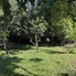 Teren de vânzare Cornu de Jos (Cornu) - 205234TV - Poza 1 din 5 | BLITZ Ploieşti | Poza2