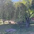 Teren de vânzare Cornu de Jos (Cornu) - 205234TV - Poza 1 din 5 | BLITZ Ploieşti | Poza3